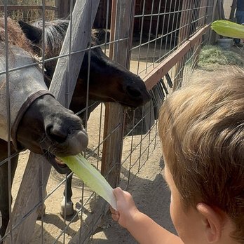 Olivenhain Farms - Community Service/Non-Profit Near Me - Encinitas, California Olivenhain Farms - Community Service/Non-Profit Near Me - Encinitas, California