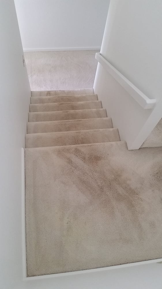CLEAN CARPET UNLIMITED Updated August 2024 2141 Kanealii Ave