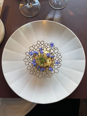 The Pescatarian by null