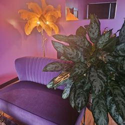 Amuure Holistic Healing