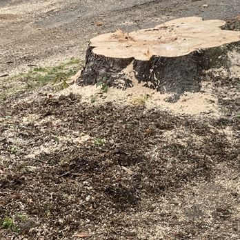 McClure's Tree Service - Sawdust! - Landscaping Near Me - Keene, New Hampshire
