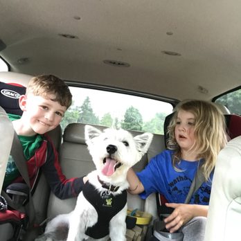 The Painted Pooch - Pet Groomers Near Me - Burien, Washington