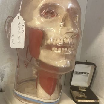 Bernat Antiques - Creepy Doctor's office display - Antiques Near Me - Uxbridge, Massachusetts