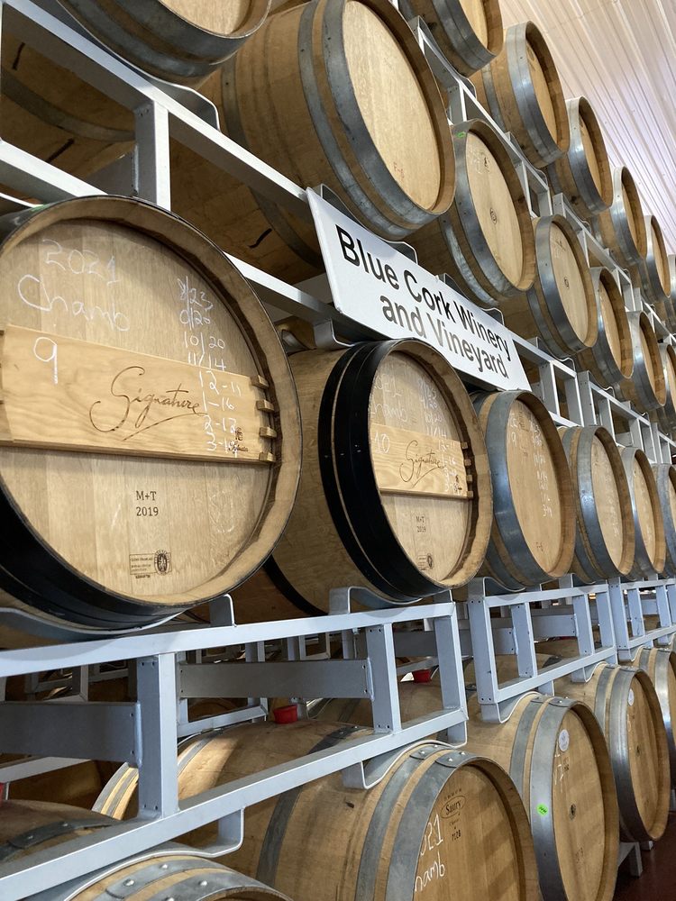 Blue Cork Winery and Vineyard Logo