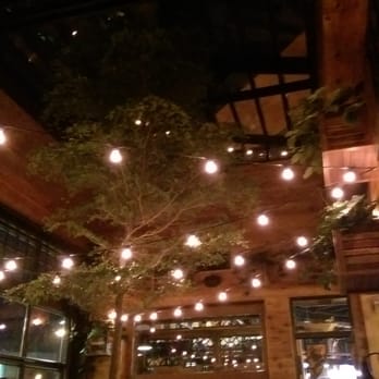 Café Hollander Hilldale - Tree room - American Near Me - Madison, Wisconsin Café Hollander Hilldale - Tree room - American Near Me - Madison, Wisconsin
