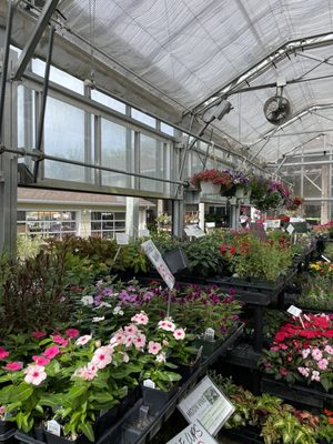 Green Fields Nursery