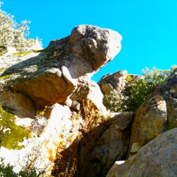 Merigan Trail - Boulder moss thing.