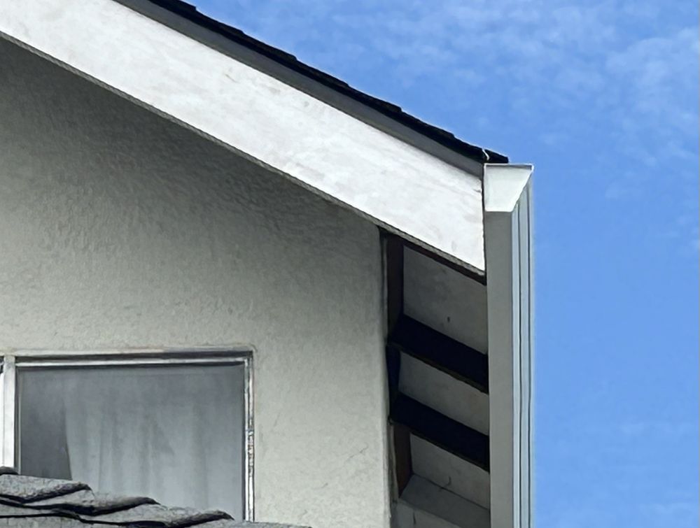 Slide of Semper Solaris