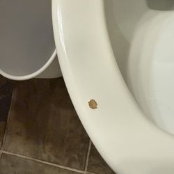 Hatteras Realty - Toilet seat