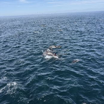 Harbor Breeze - Boat Charters Near Me - Long Beach, California