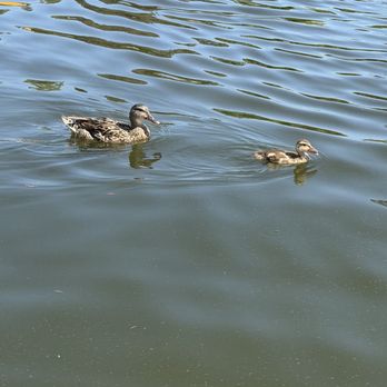 Centennial Lakes Park - Parks Near Me - Edina, Minnesota Centennial Lakes Park - Parks Near Me - Edina, Minnesota