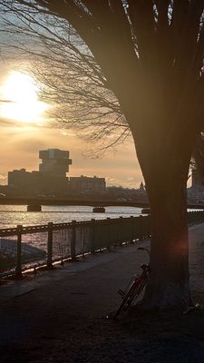 Charles River Esplanade by null