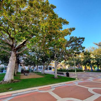 King Plaza - Plaza - Local Flavor Near Me - Palo Alto, California King Plaza - Plaza - Local Flavor Near Me - Palo Alto, California