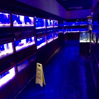 Uncle Bill's Pet Centers East Indianapolis - Extensive freshwater fish selection. - Pet Stores Near Me - Indianapolis, Indiana Uncle Bill's Pet Centers East Indianapolis - Extensive freshwater fish selection. - Pet Stores Near Me - Indianapolis, Indiana