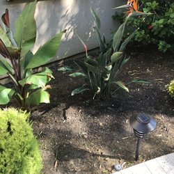 Abel’s Yard Services