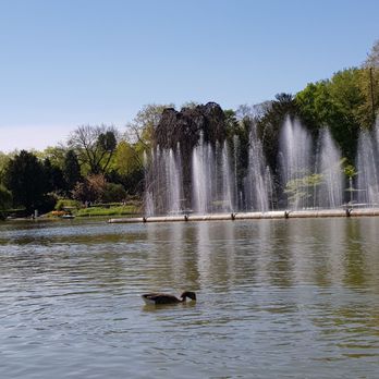 Gondoletta - Wasserfontänen - Zoos Near Me