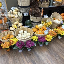 Albertsons - Fall is leaving us at Albertsons