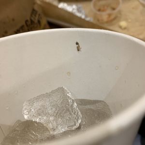 Willy’s Mexicana Grill on Yelp