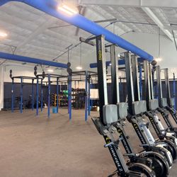 Blue Eagle Fitness & Nutrition - Big Fan, rower, new free-standing Rogue rig.