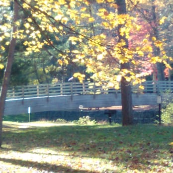 Ole Bull State Park - Bridge at Ole Bull. - Parks Near Me - Cross Fork, Pennsylvania
