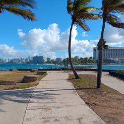 Escambron - Inlet of palm trees