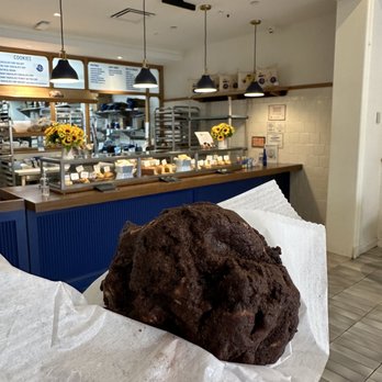Levain Bakery - Williamsburg, Brooklyn - Dark Chocolate Peanut Butter Chip Cookie - Bakeries Near Me - Brooklyn, New York