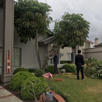 Only ME Tree & Land Service - Tree removal - Fences & Gates Near Me Only ME Tree & Land Service - Tree removal - Fences & Gates Near Me