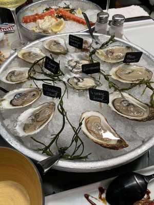 OCEAN SEAFOOD DEPOT INC Wholesale by null