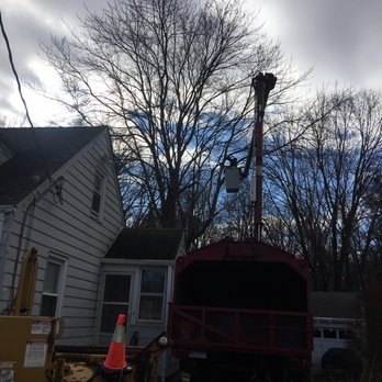 R & S Tree Service - Tree Services Near Me - North Branford, Connecticut R & S Tree Service - Tree Services Near Me - North Branford, Connecticut