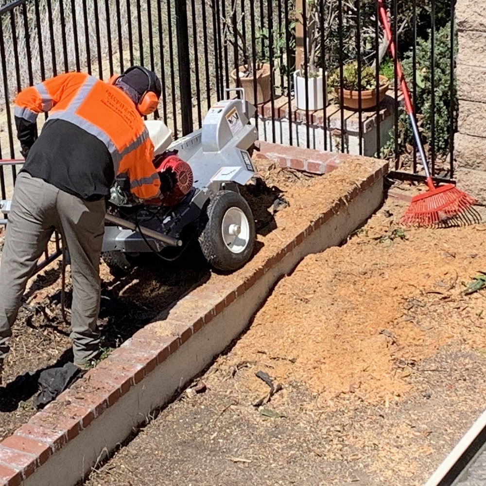 Freddie’s Tree Service - Grinding roots - Tree Services Near Me