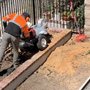 Photo of Freddie’s Tree Service