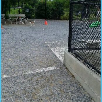 Little Bay Dog Run - Dog Parks Near Me - Bayside, New York