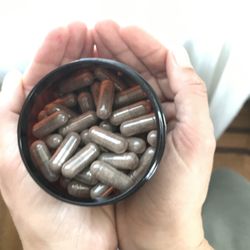 The Urban Homestead Doula Services - Placenta Capsules from the encapsulation process.