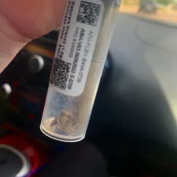 Story Dispensary - Pictured moth in my "princess haze" pre roll. - Cannabis Clinics Near Me - Tolleson, Arizona Story Dispensary - Pictured moth in my "princess haze" pre roll. - Cannabis Clinics Near Me - Tolleson, Arizona