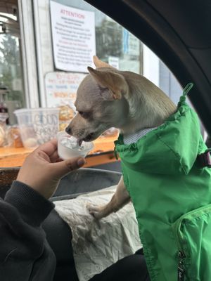 Muddy Waters Coffee Co by null