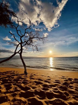 Kaanapali Beach by null