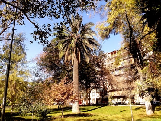 Parque Forestal by null