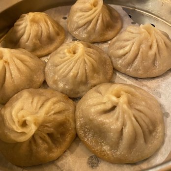 Dumpling House - Noodles Near Me - Cambridge, Massachusetts