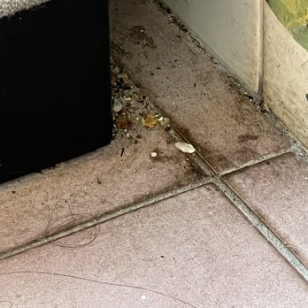 Coco Maya - Filthy floor - Caribbean Near Me - San Diego, California