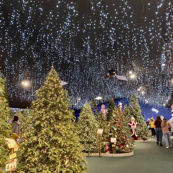 Robert's Christmas Wonderland - Every faux Christmas tree you could imagine is at Robert's Winter Wonderland. - Holiday Decorations Near Me - Clearwater, Florida Robert's Christmas Wonderland - Every faux Christmas tree you could imagine is at Robert's Winter Wonderland. - Holiday Decorations Near Me - Clearwater, Florida