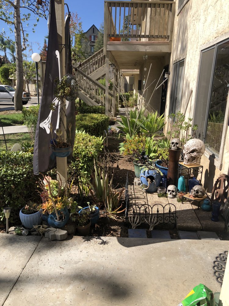 SUNSET CLIFFS APARTMENTS Updated September 2024 180 Terrace Dr