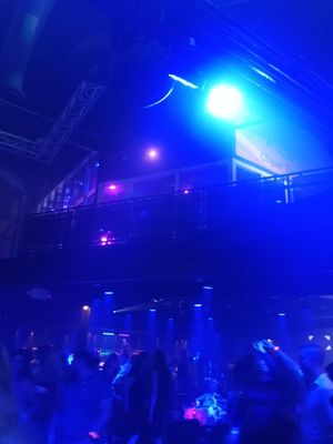 THE SALSA ROOM by null