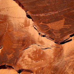 Sandstone Tours - Petroglyph