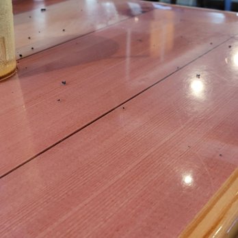 Hooters - Black dust on the table that made us look up and see the dirty vent. - Sports Bars Near Me - Sunrise, Florida Hooters - Black dust on the table that made us look up and see the dirty vent. - Sports Bars Near Me - Sunrise, Florida