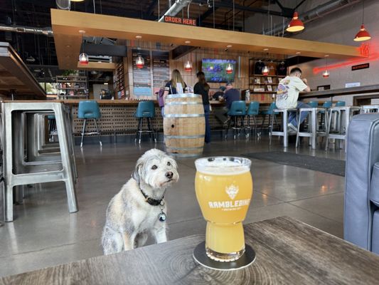 Ramblebine Brewing Company by null