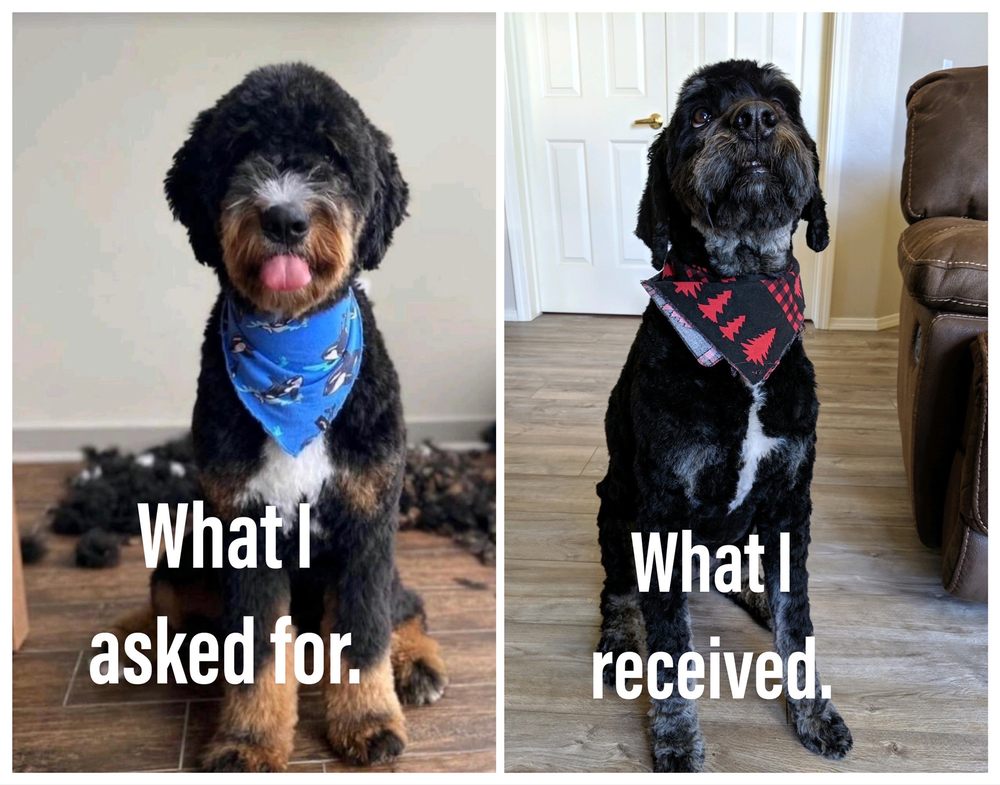 OUR DOG WASH AND BAKERY 43 Photos & 34 Reviews 1800 E Rte 66