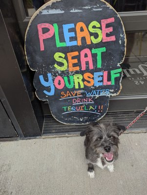 Tacos and Tequila by null