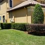 Photo of Tierra Verde