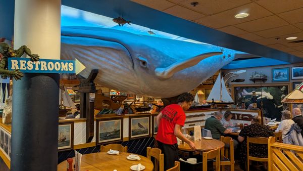 Cooper's Seafood House by null