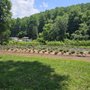 Marie’s Lavender Farm